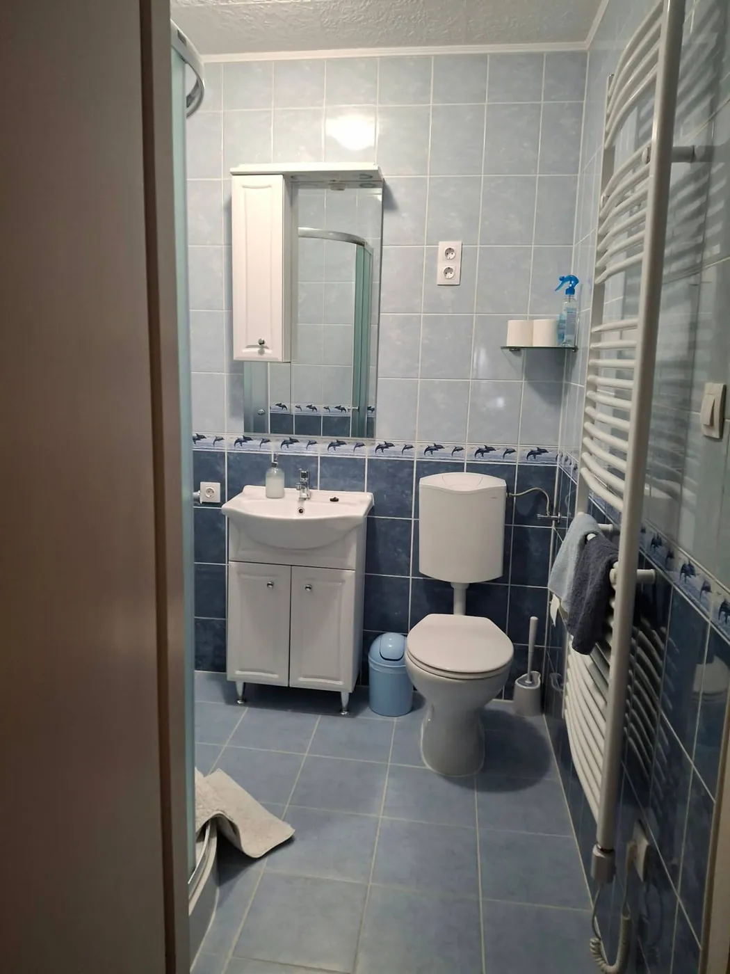 A fürdőszoba mosdóval, WC-vel és törölközőszárítóval
